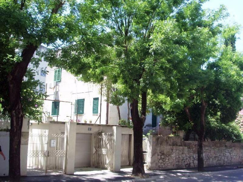 Pensionat Guest House With Garden - Zuvan