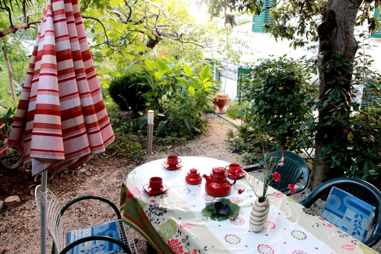With Garden - Zuvan